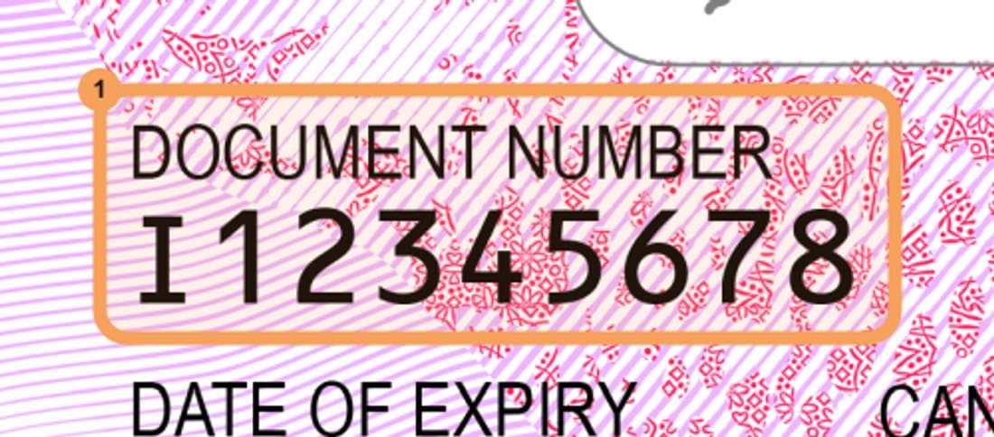 Close-up of the Document Number field on the front of the identity card